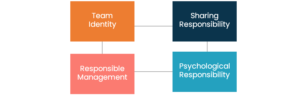 Team Resilience Framework