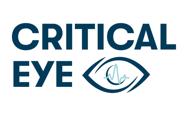 Critical Eye Listing Logo