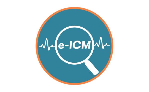 e-ICM Logo